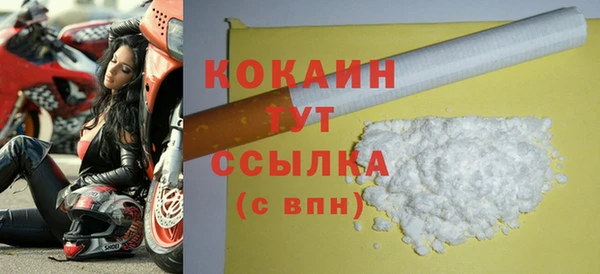 стаф Богданович