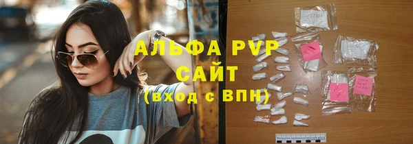 стаф Богданович
