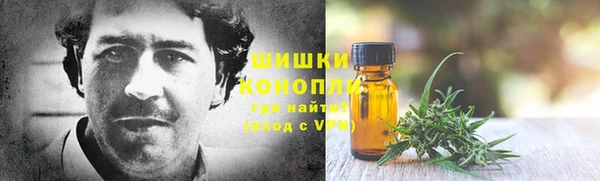 стаф Богданович