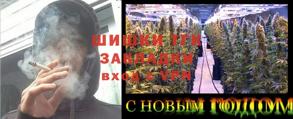 стаф Богданович