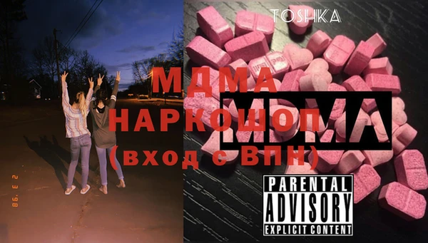 стаф Богданович