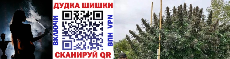 darknet какой сайт  продажа наркотиков  Ессентукская  Конопля MAZAR 
